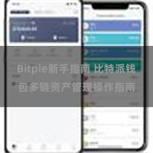 Bitpie新手指南 比特派钱包多链资产管理操作指南