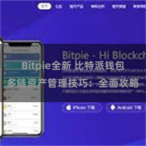 Bitpie全新 比特派钱包多链资产管理技巧：全面攻略