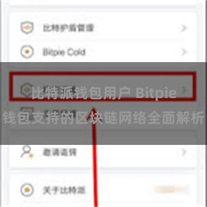 比特派钱包用户 Bitpie钱包支持的区块链网络全面解析