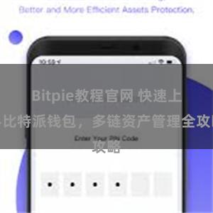 Bitpie教程官网 快速上手比特派钱包，多链资产管理全攻略