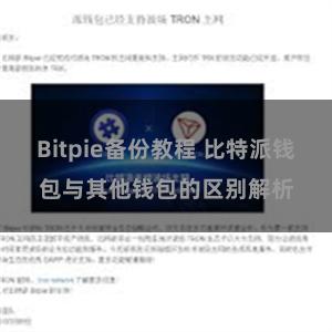 Bitpie备份教程 比特派钱包与其他钱包的区别解析