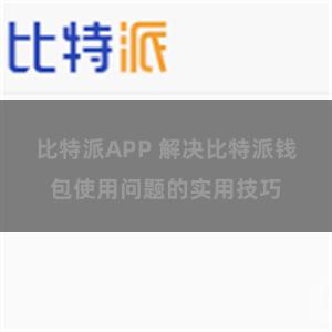 比特派APP 解决比特派钱包使用问题的实用技巧