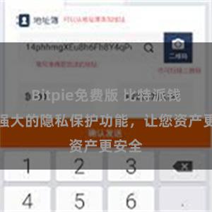 Bitpie免费版 比特派钱包：强大的隐私保护功能，让您资产更安全