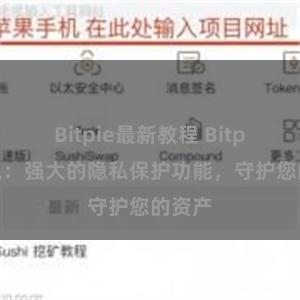 Bitpie最新教程 Bitpie钱包：强大的隐私保护功能，守护您的资产