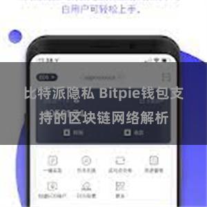 比特派隐私 Bitpie钱包支持的区块链网络解析