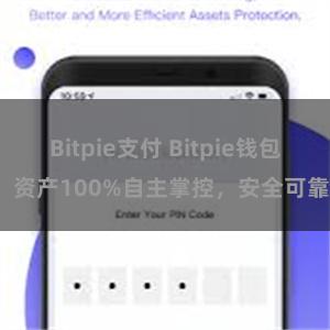 Bitpie支付 Bitpie钱包：资产100%自主掌控，安全可靠。