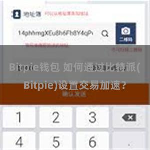 Bitpie钱包 如何通过比特派(Bitpie)设置交易加速？