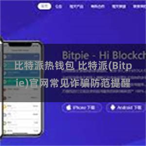 比特派热钱包 比特派(Bitpie)官网常见诈骗防范提醒