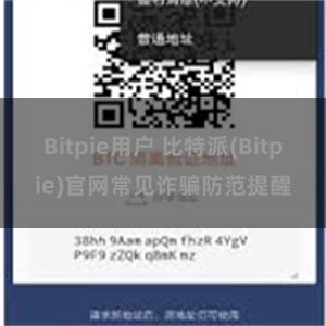 Bitpie用户 比特派(Bitpie)官网常见诈骗防范提醒