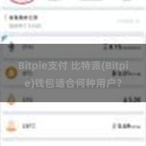 Bitpie支付 比特派(Bitpie)钱包适合何种用户？